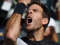 黑白体育-费德勒新星高光表现表现惊艳，C9未来可期！的简单介绍