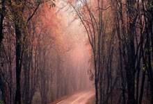 黑白体育- 曹利国首战奥运摘银广西摔跤实现零的突破 